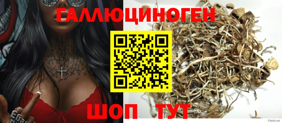 Камышлов  Галлюциногенные грибы ЛСД  Вход с VPN 