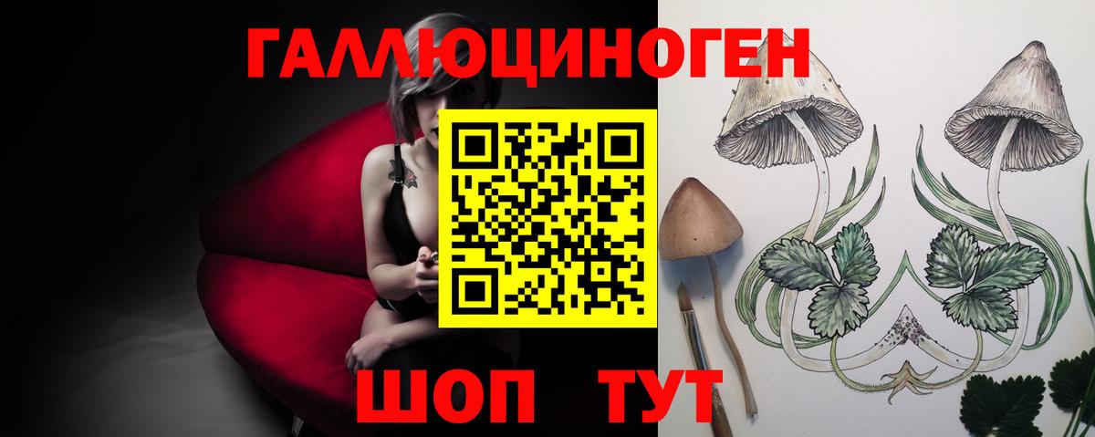 Псилоцибиновые грибы Cubensis Камышлов
